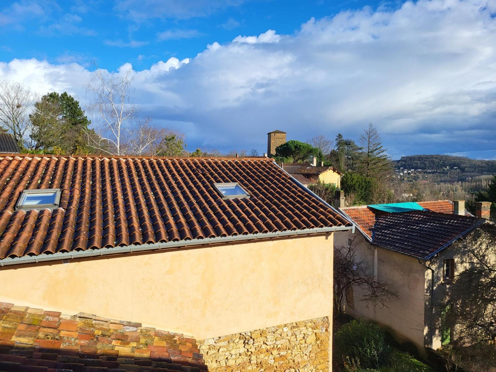 Gite Le Grenier Des Maraichers Albigny-sur-Saone Dış mekan fotoğraf